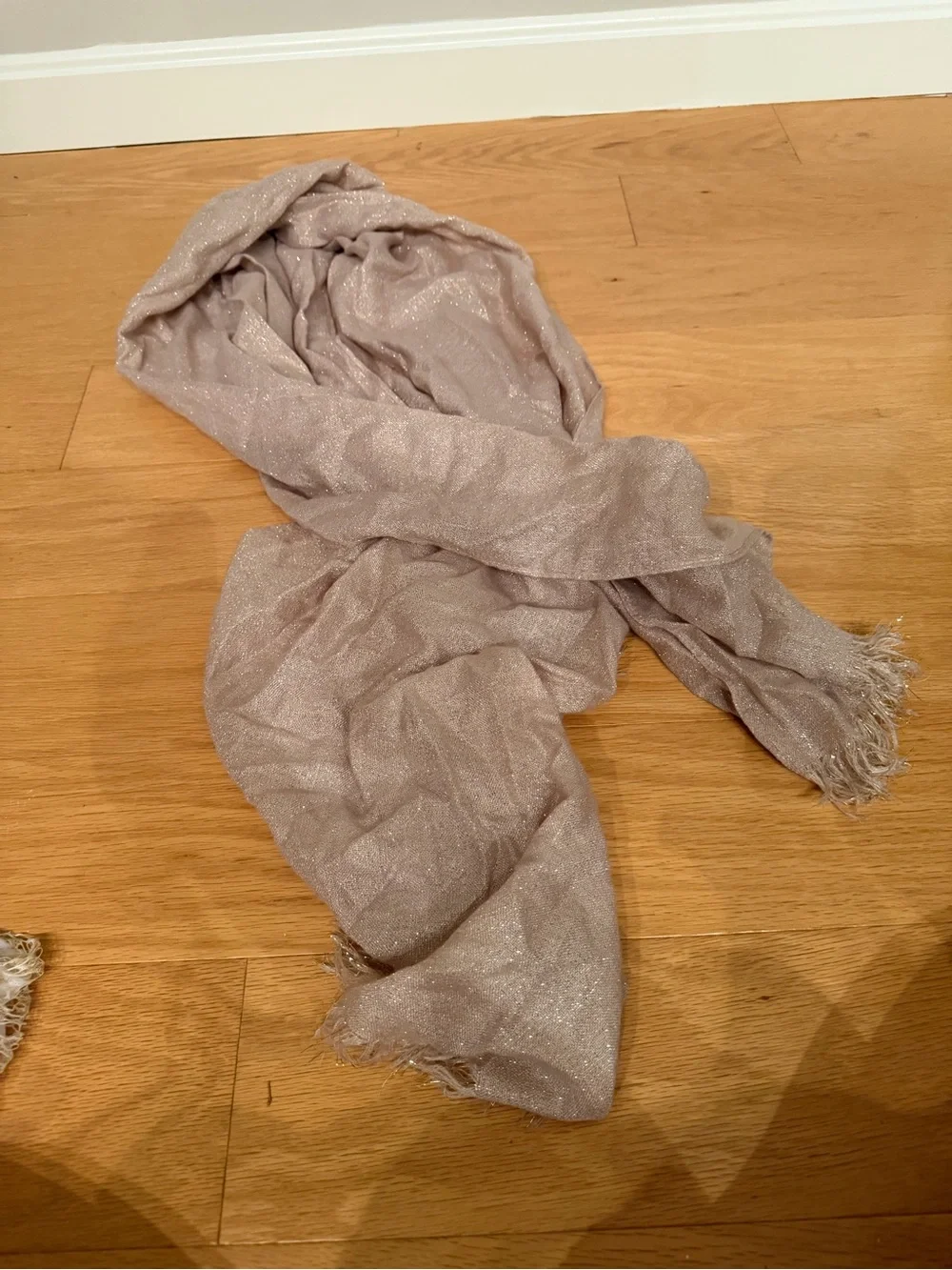 Light Taupe Shimmer Scarf - Women's Accessory